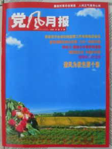 党风月报